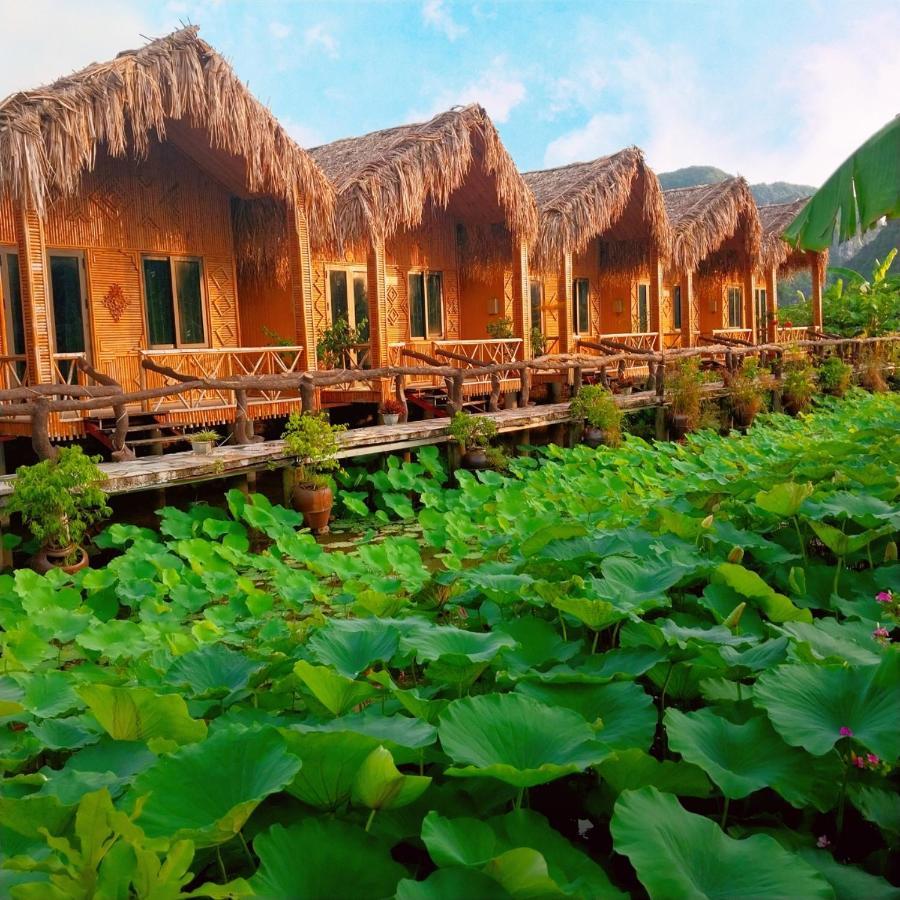 Hang Mua Lotus Homestay Ninh Binh Eksteriør bilde